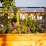 Solemar Sicilia - Casa Minerva 아파트